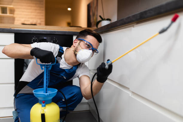 Best Pest Control Treatment  in Minor, AL