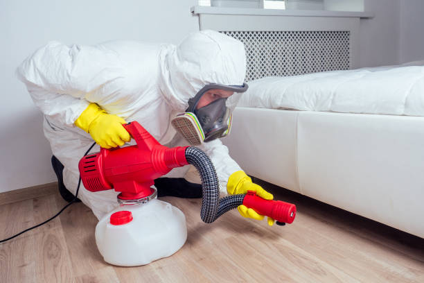 Best Insect Control  in Minor, AL