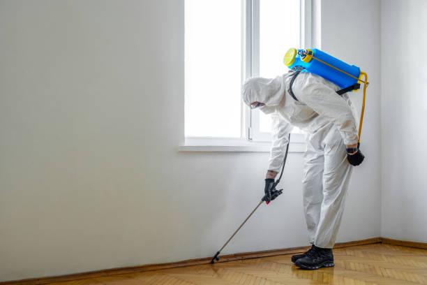 Best Affordable Pest Control Services  in Minor, AL