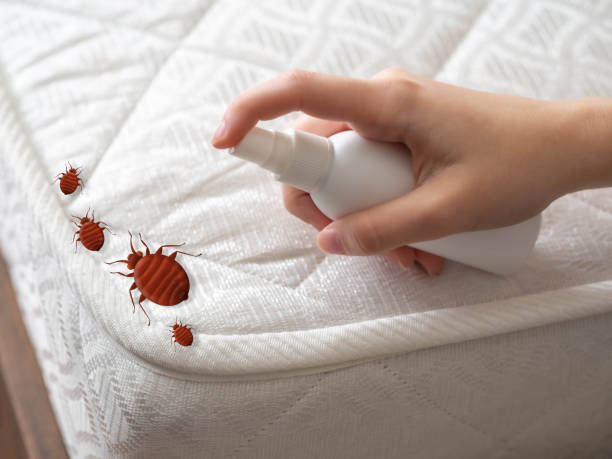 Reliable Minor, AL Pest Control Solutions