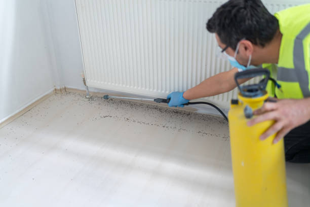 Best Commercial Pest Control Services  in Minor, AL