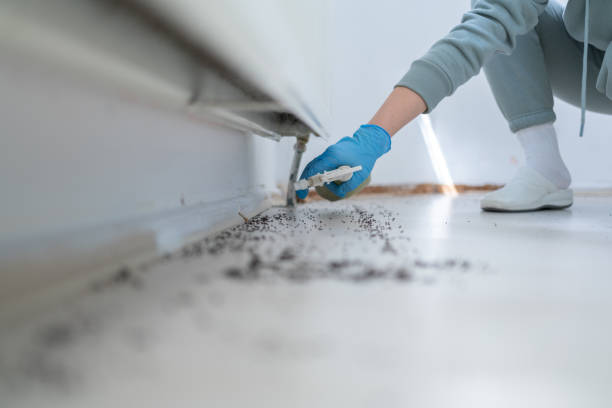 Best Bed Bug Extermination  in Minor, AL